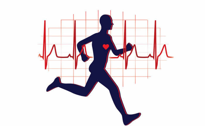 Effect of Carvedilol, Ivabradine or Their Combination on Exercise Capacity in Patients with Heart Failure (The CARVIVA HF Trial)