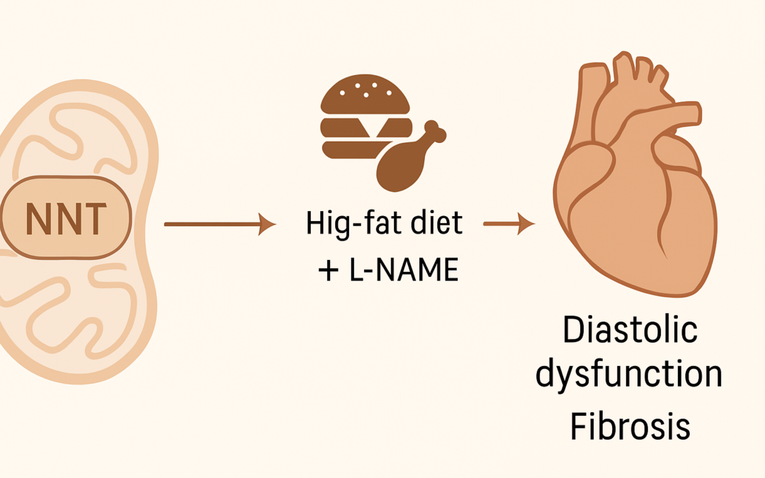 Targeting NNT to Alleviate Diastolic Dysfunction in High-Fat Diet–Induced HFpEF