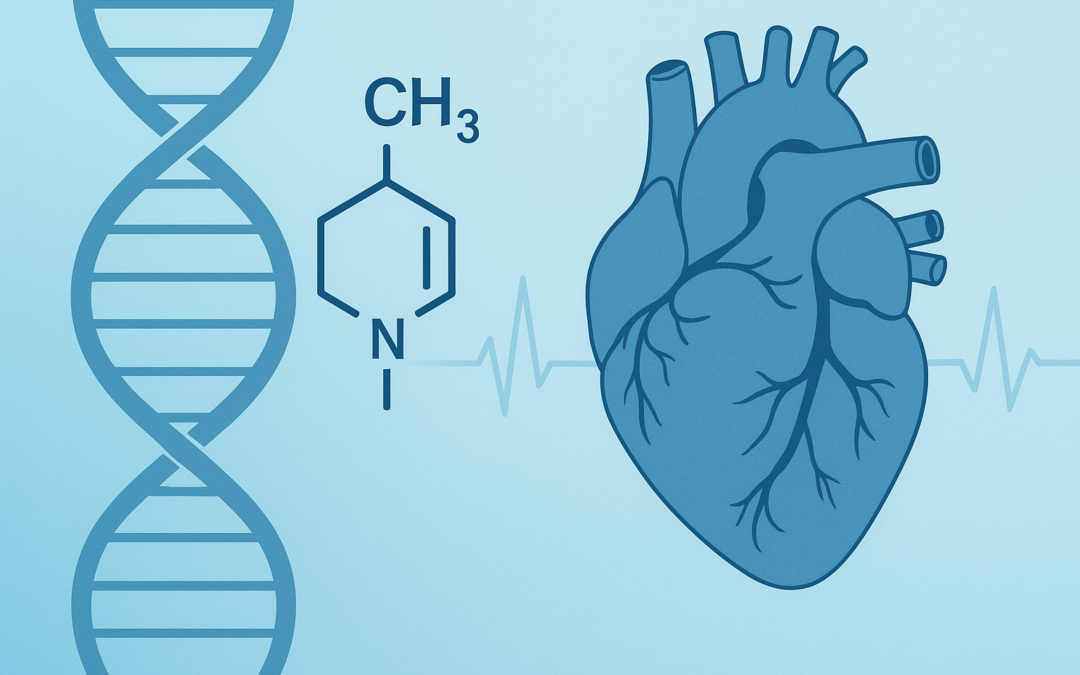 Epigenetic Blueprint of Cardiovascular Health: Unlocking Disease Prevention Through DNA Methylation