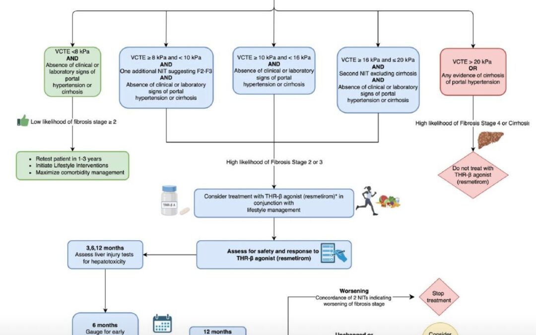 Global Consensus Guidelines for MASLD and MASH